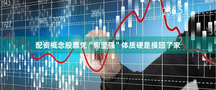 配资概念股票凭“狗坚强”体质硬是摸回了家