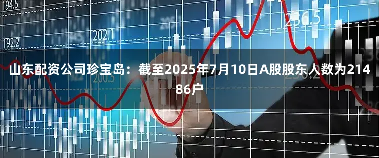 山东配资公司珍宝岛：截至2025年7月10日A股股东人数为21486户