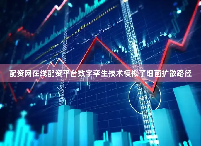 配资网在线配资平台数字孪生技术模拟了细菌扩散路径