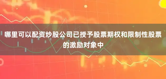 哪里可以配资炒股公司已授予股票期权和限制性股票的激励对象中